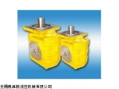 CBGJ0025,高壓齒輪泵_供應產品_無錫凱維聯液壓機械
